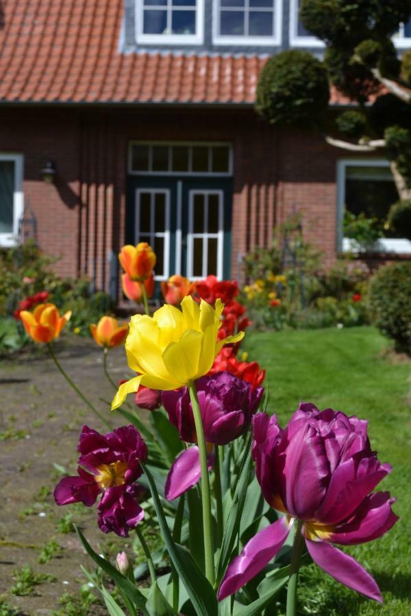 Ferienwohnung Zinne-Wigger Steimbke Buitenkant foto